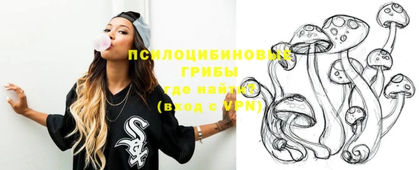 стафф Алексеевка